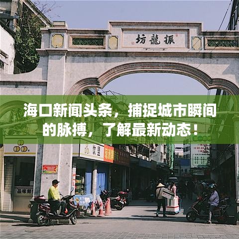 海口新闻头条，捕捉城市瞬间的脉搏，了解最新动态！