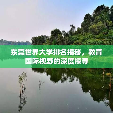 东莞世界大学排名揭秘，教育国际视野的深度探寻
