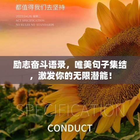 励志奋斗语录，唯美句子集结，激发你的无限潜能！