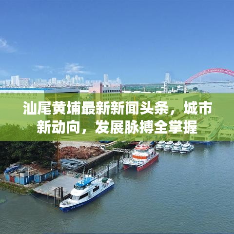 汕尾黄埔最新新闻头条，城市新动向，发展脉搏全掌握