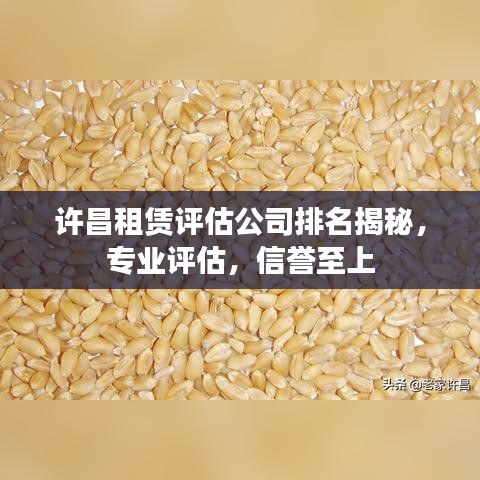 许昌租赁评估公司排名揭秘，专业评估，信誉至上