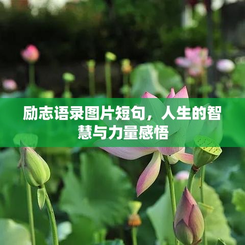 励志语录图片短句，人生的智慧与力量感悟