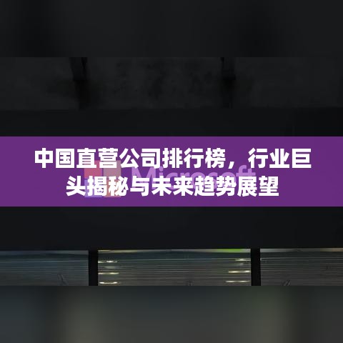 中国直营公司排行榜,行业巨头揭秘与未来趋势展望