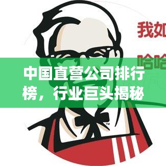 中国直营公司排行榜,行业巨头揭秘与未来趋势展望