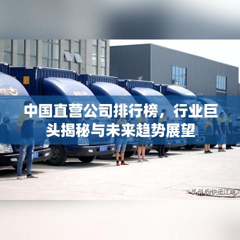 中国直营公司排行榜,行业巨头揭秘与未来趋势展望