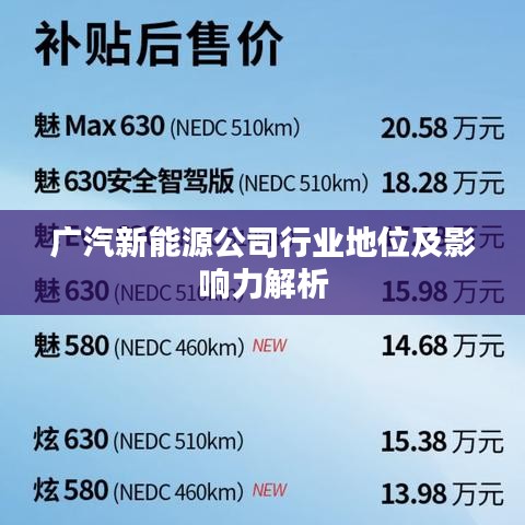 广汽新能源公司行业地位及影响力解析