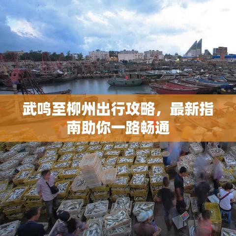 武鸣至柳州出行攻略，最新指南助你一路畅通