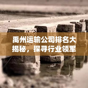 禹州运输公司排名大揭秘,探寻行业领军者的成功秘诀!