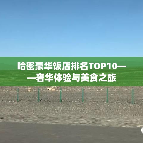 哈密豪华饭店排名TOP10——奢华体验与美食之旅