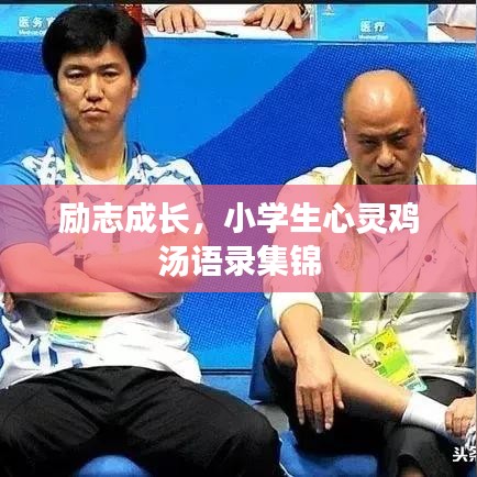 励志成长，小学生心灵鸡汤语录集锦