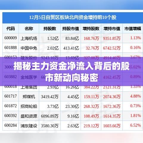揭秘主力资金净流入背后的股市新动向秘密
