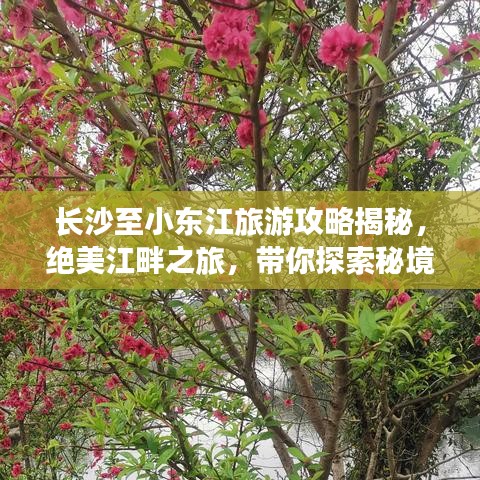 长沙至小东江旅游攻略揭秘，绝美江畔之旅，带你探索秘境之美