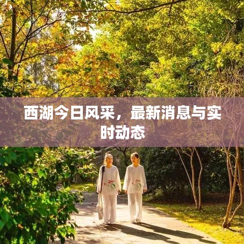 西湖今日风采，最新消息与实时动态