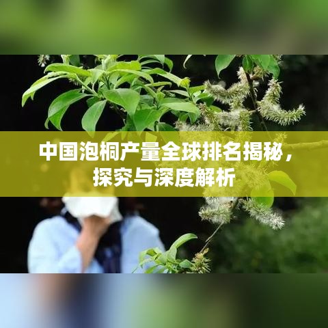 中国泡桐产量全球排名揭秘，探究与深度解析