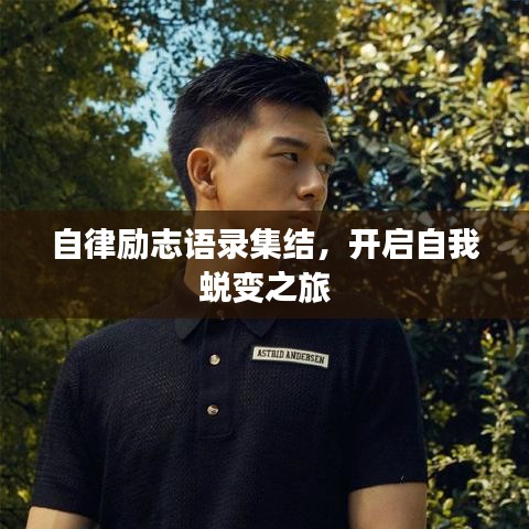 自律励志语录集结,开启自我蜕变之旅