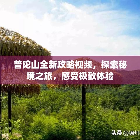 普陀山全新攻略视频，探索秘境之旅，感受极致体验