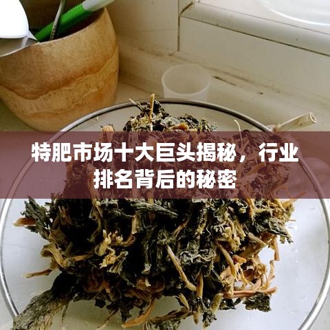 特肥市场十大巨头揭秘，行业排名背后的秘密