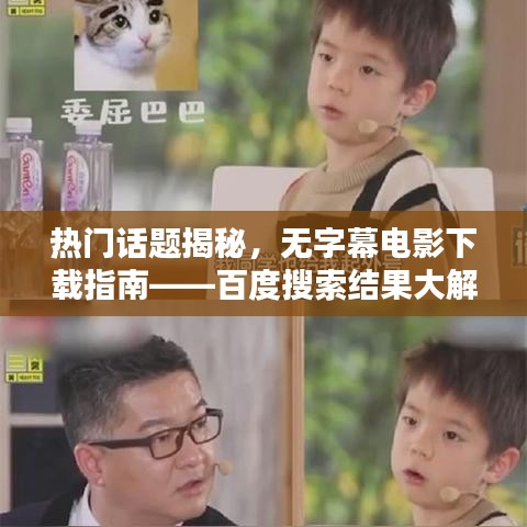 热门话题揭秘，无字幕电影下载指南——百度搜索结果大解析