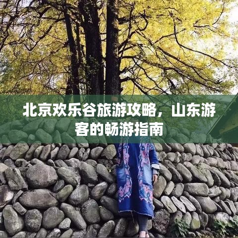 北京欢乐谷旅游攻略，山东游客的畅游指南