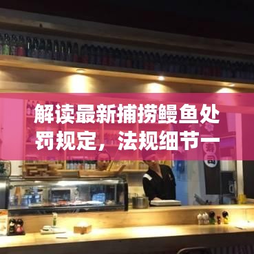 解读最新捕捞鳗鱼处罚规定，法规细节一网打尽