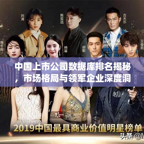 中国上市公司数据库排名揭秘，市场格局与领军企业深度洞察