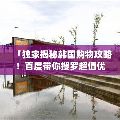 「独家揭秘韩国购物攻略！百度带你搜罗超值优惠！」