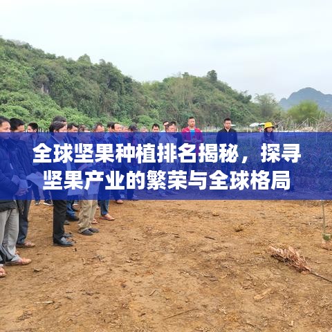 全球坚果种植排名揭秘，探寻坚果产业的繁荣与全球格局