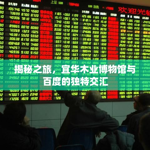 揭秘之旅，宜华木业博物馆与百度的独特交汇