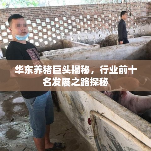 华东养猪巨头揭秘,行业前十名发展之路探秘