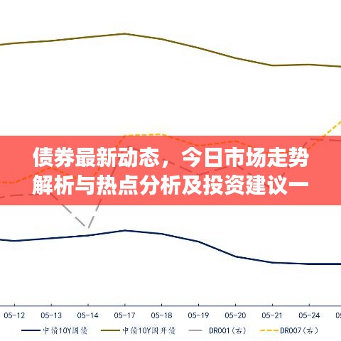 债券最新动态,今日市场走势解析与热点分析及投资建议一网打尽