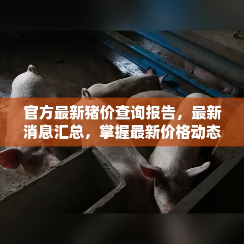 官方最新猪价查询报告，最新消息汇总，掌握最新价格动态