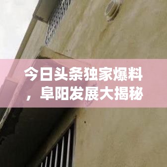 今日头条独家爆料，阜阳发展大揭秘，最新资讯一网打尽