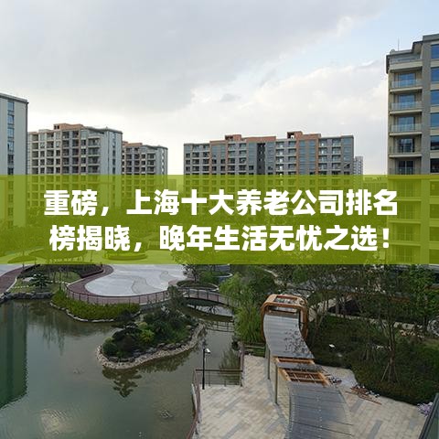 重磅，上海十大养老公司排名榜揭晓，晚年生活无忧之选！