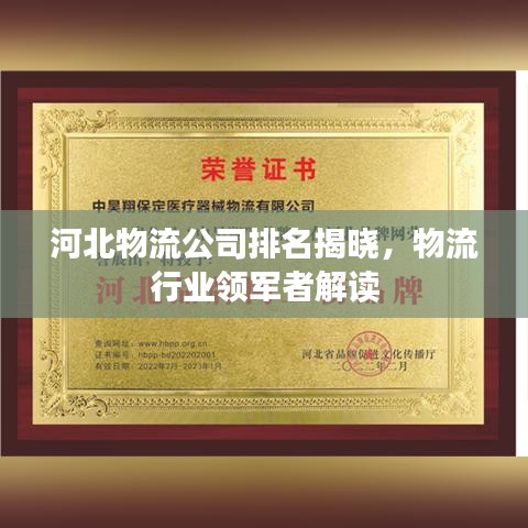 河北物流公司排名揭晓，物流行业领军者解读