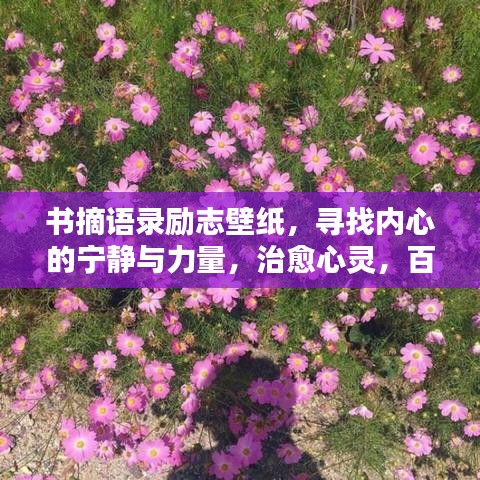 书摘语录励志壁纸，寻找内心的宁静与力量，治愈心灵，百度收录热推！