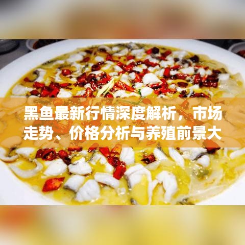黑鱼最新行情深度解析，市场走势、价格分析与养殖前景大探讨