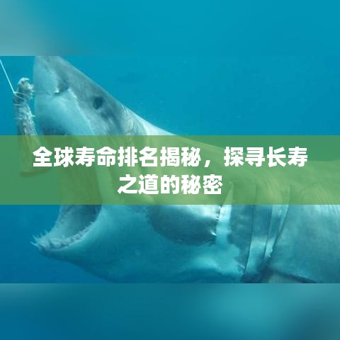 全球寿命排名揭秘,探寻长寿之道的秘密