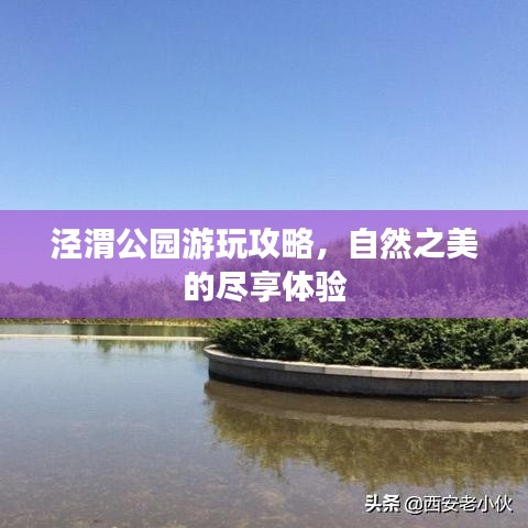 泾渭公园游玩攻略，自然之美的尽享体验