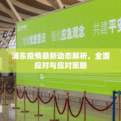 浦东疫情最新动态解析，全面应对与应对策略