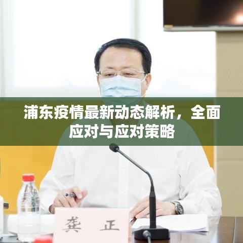 浦东疫情最新动态解析,全面应对与应对策略