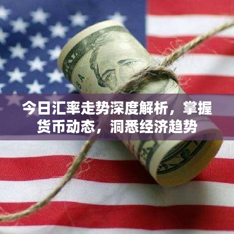今日汇率走势深度解析，掌握货币动态，洞悉经济趋势