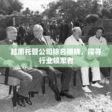 越南托管公司排名揭晓，探寻行业领军者