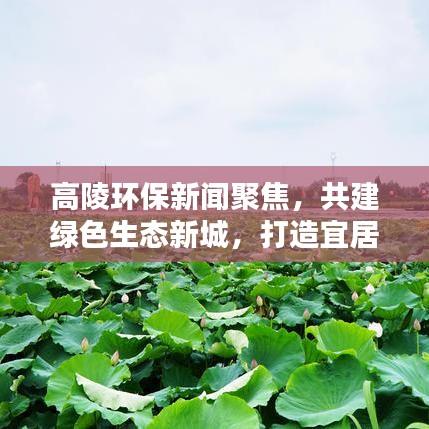 高陵环保新闻聚焦，共建绿色生态新城，打造宜居家园