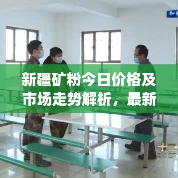新疆矿粉今日价格及市场走势解析,最新消息全面掌握