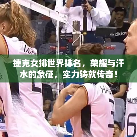捷克女排世界排名，荣耀与汗水的象征，实力铸就传奇！