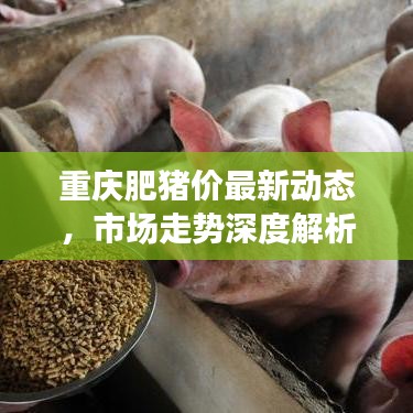 重庆肥猪价最新动态，市场走势深度解析与未来展望
