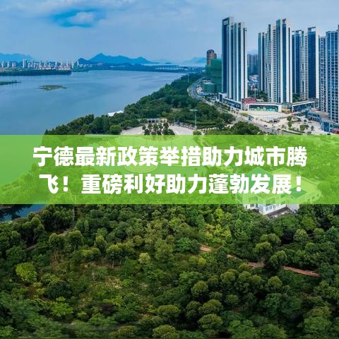 宁德最新政策举措助力城市腾飞！重磅利好助力蓬勃发展！