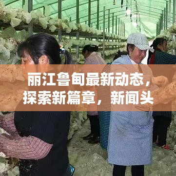 张牙舞爪 第8页