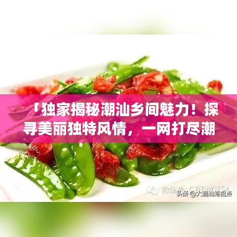 「独家揭秘潮汕乡间魅力！探寻美丽独特风情，一网打尽潮汕旅游攻略！」