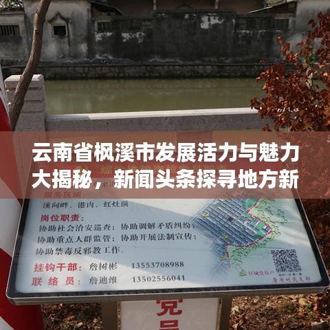 云南省枫溪市发展活力与魅力大揭秘，新闻头条探寻地方新动向